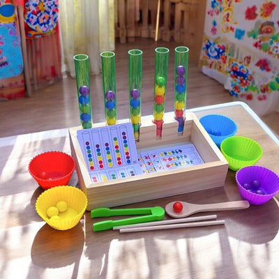 Montessori Inspired Wooden Ball Colour Sorting with Test Tube & Number Cards