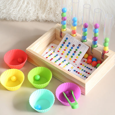 Montessori Inspired Wooden Ball Colour Sorting with Test Tube & Number Cards