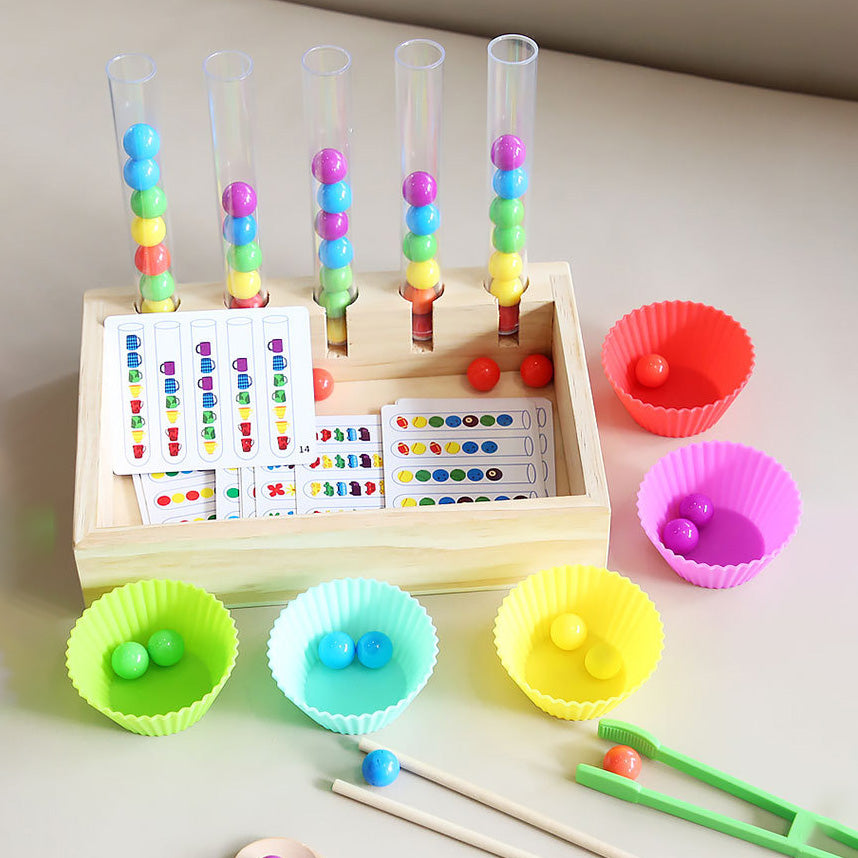 Montessori Inspired Wooden Ball Colour Sorting with Test Tube & Number Cards