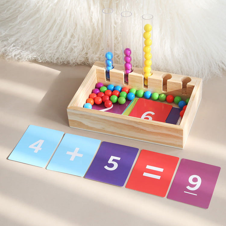 Montessori Inspired Wooden Ball Colour Sorting with Test Tube & Number Cards