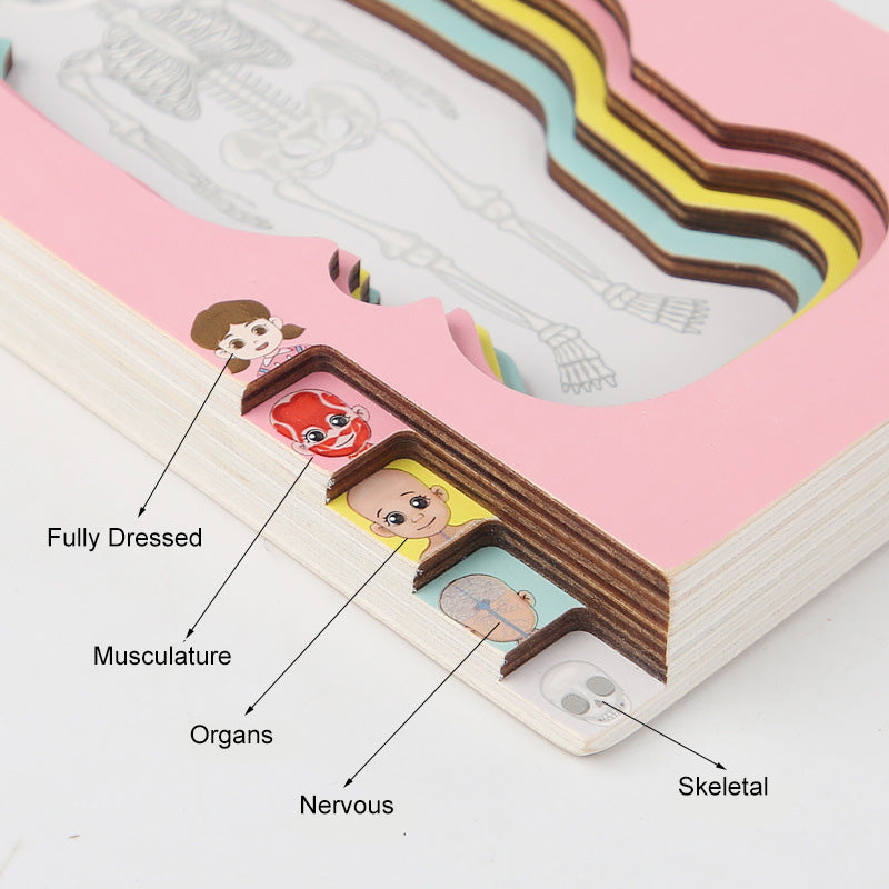 Montessori inspired Wooden Puzzle My Body. STEM Learning